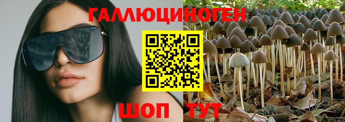 МЕТАДОН Брянск
